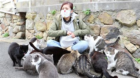 Girl Swarmed By Cats On Japans Cat Island Youtube