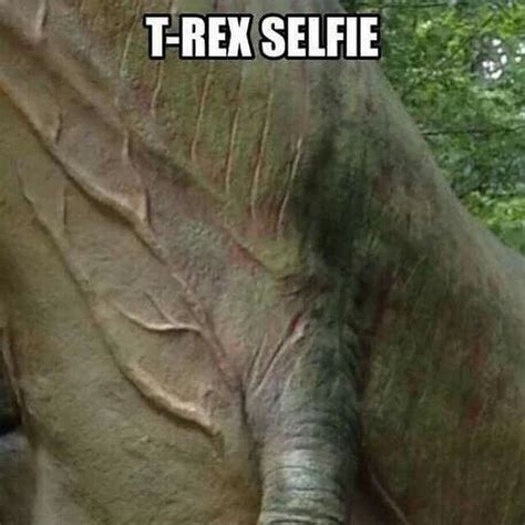 well at least he tried t rex humor dinosaur funny funny pictures