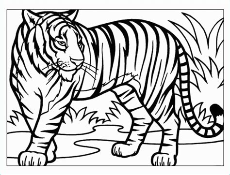 Tigre Da Colorare Per Bambini Stunning Disegni Da Colorare Tigre Layout