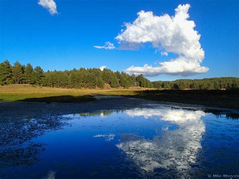 Maybe you would like to learn more about one of these? NEWS | Mount Laguna Improvement Association