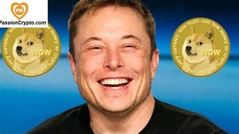 Tesla CEO Elon Musk has openly endorsed Dogecoin [DOGE] on ...