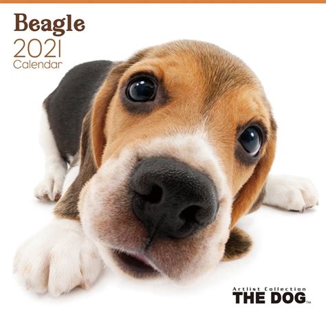 The Dog 2021 Calendars Are Now Available The Dog Official Brand Site