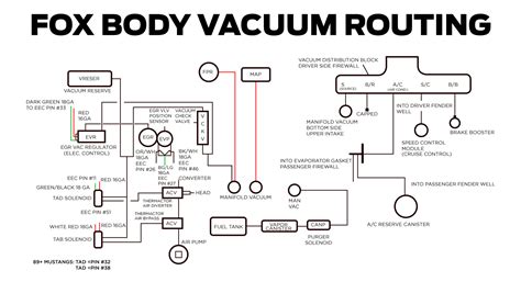 Fox Body Mustang Vacuum Routing Diagram 87 93 V8 Lmr