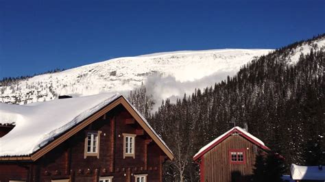 We are a malaysian msc status company, and our clients. Lavin Tegefjäll - YouTube