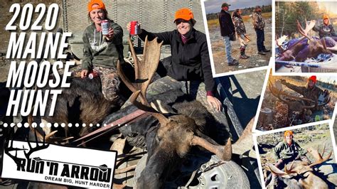 2020 Maine Moose Hunt Two Bulls Down Youtube