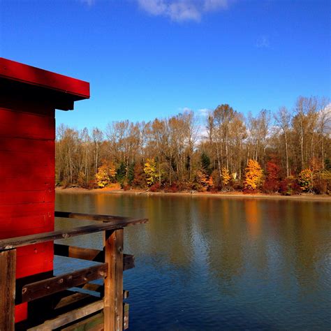 Sunny Fall Day Fort Langley Fort Photography Golden Gate Golden