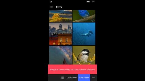 🔥 48 Daily Wallpaper Changer Windows 10 Wallpapersafari