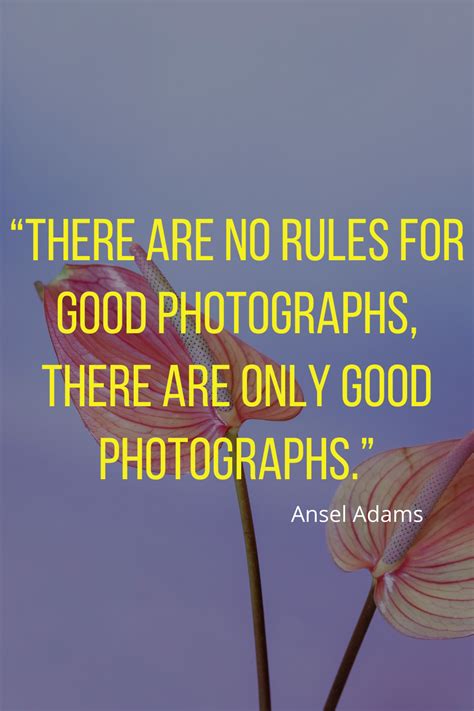 “there Are No Rules For Good Photographs There Are Only Good Photographs” Quotes About