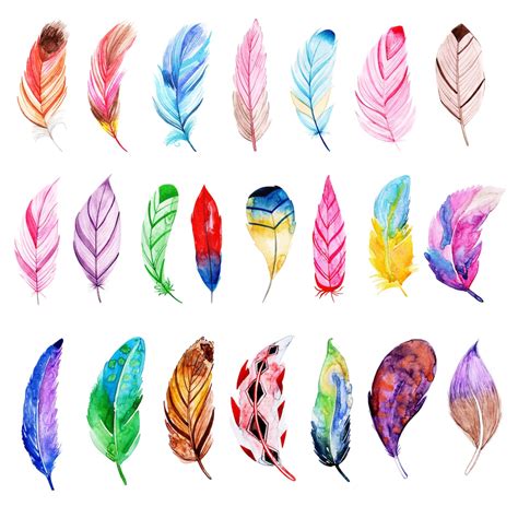 Premium Vector Beautiful Watercolor Feather Collection
