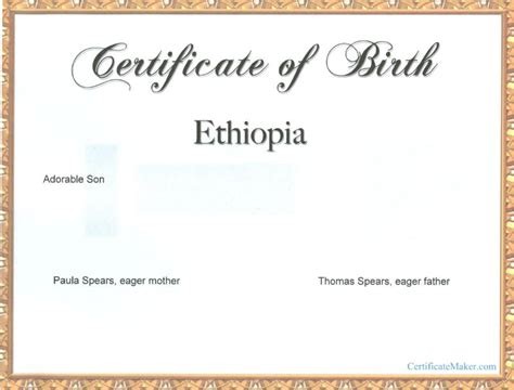 Top fake certificate generator diploma free effects and line degree. Fake Birth Certificate Template | playbestonlinegames