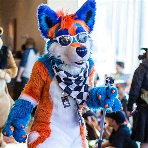 Orange And Blue Anthro Furry Furry Art Fursuit Furry