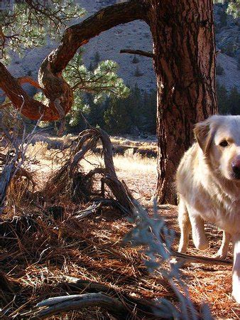 Private cabins and lodge units ready to serve as your home base while. Crooked River Ranch Photos - Featured Images of Crooked ...