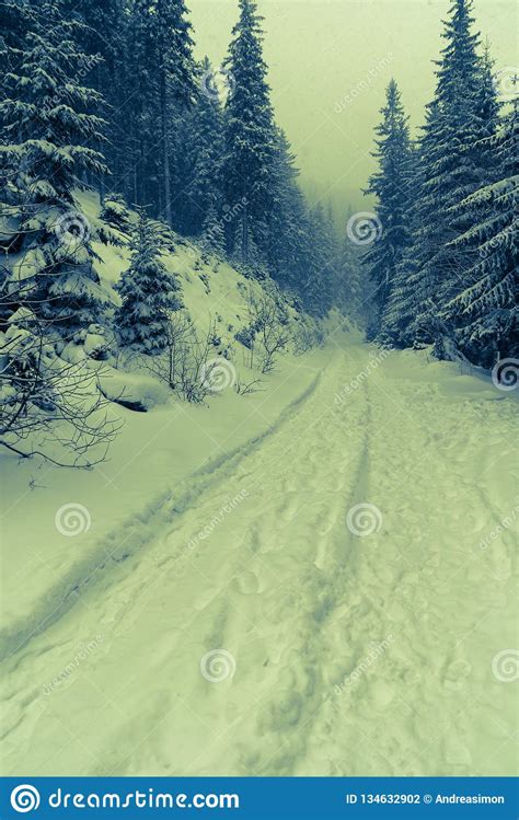 Winter Landscape Season Frost Stock Photo Image Of Mysterious