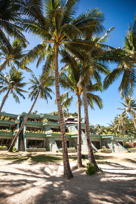 E il successo, forse non è un caso, le è. Palme Sulla Spiaggia Di Sabbia Bianca Sull'isola Di Holbox ...