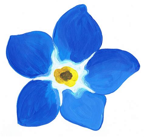 Forget Me Flowers Clipart 20 Free Cliparts Download Images On