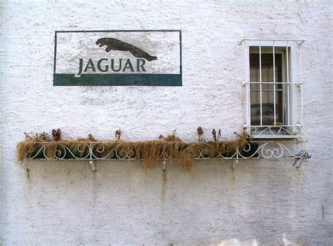Jaguar logo meaning and history. History of All Logos: All Jaguar Logos