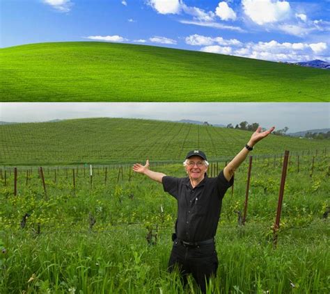 Declared The Most Viewed Photo Of All Time The Famous Windows Xp