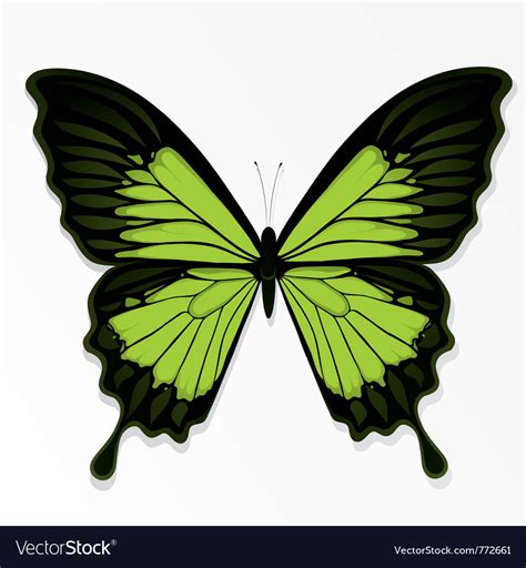 Green butterfly Royalty Free Vector Image - VectorStock