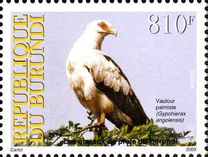 Stamp Palm Nut Vulture Gypohierax Angolensis Burundi Birds