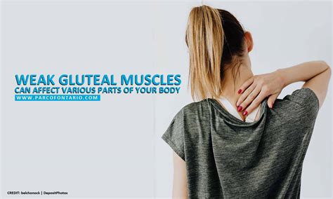 And that's why people like to think of the glutes as part of a chain of movement, not a group of muscles that work in isolation. How Weak Glutes Cause Lower Back Pain | The Physiotherapy ...