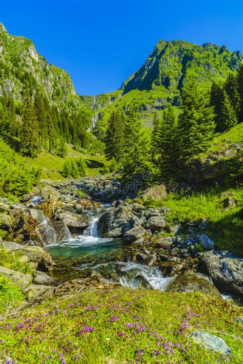 Beautiful Scenery With A Mountain River In The Fagarasi Mountain Stock