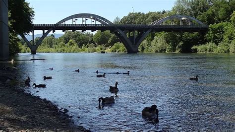 Caveman Bridge With Ducks River Rafting Southern Oregon Local
