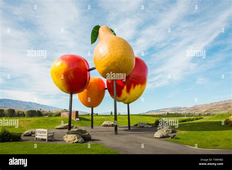 Giant Sculpture New Zealand High Resolution Stock Photography And