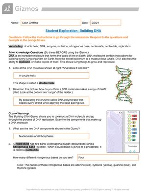 Rate free building dna gizmo answer sheet form. Building Dna Gizmo Assessment Answers / Goal For Each One ...