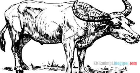 mimpi melihat kerbau