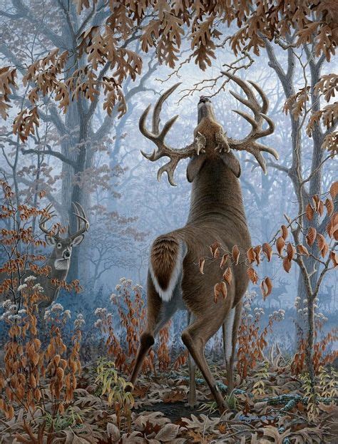 Original White Tailed Deer Painting Scrape Line By Ryan Kirby