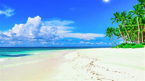 Wallpaper Beach Palm Trees Blue Sky Summer Tropical 5120x2880 Uhd