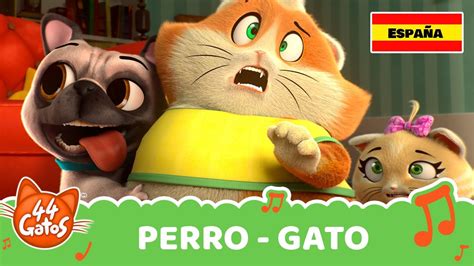 44 Gatos España Canción Perro Gato Videoclip Youtube