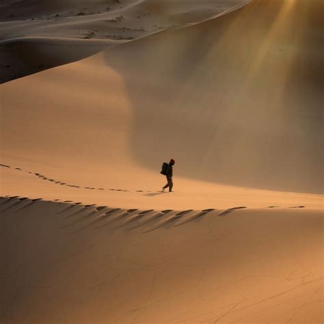 Person Walking In The Desert Photo Free Nature Image On Unsplash