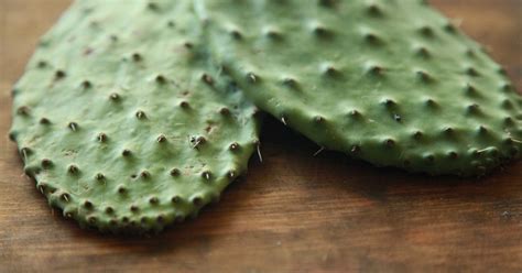 Benefits Of Cactus Leaf In The Diet Livestrongcom