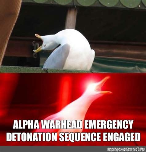 Meme Alpha Warhead Emergency Detonation Sequence Engaged All