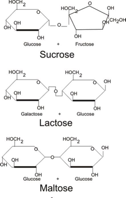 Solved Identify The Following Disaccharides As Reducing Or