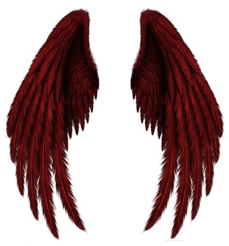 Transparent Red Wings Png Clipart Picture Clipart Best Clipart Best