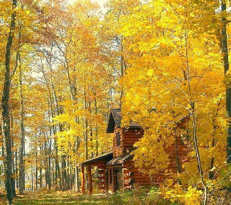 Two Of My Most Favorite Things Autumn And A Log House Пейзажи