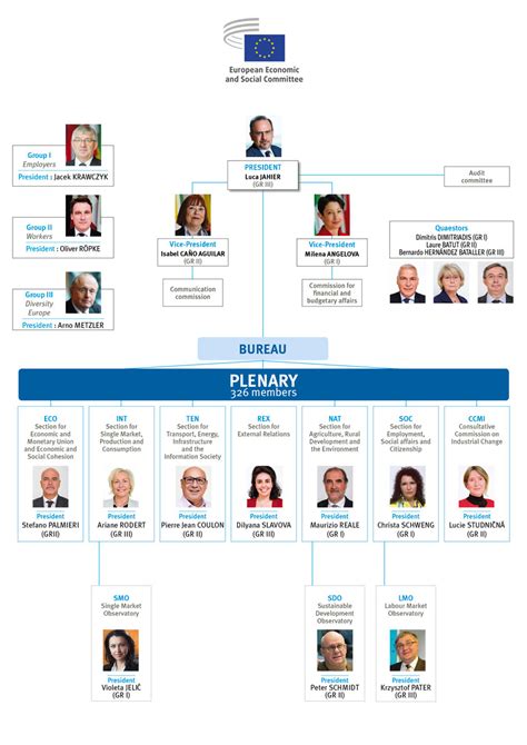 Organisational Chart Political European Economic And Social Committee