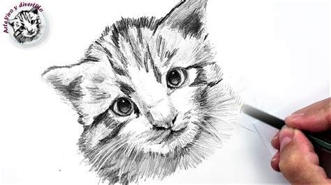 Cómo Dibujar Un Gato Pequeño A Lápiz Fácil Paso A Paso