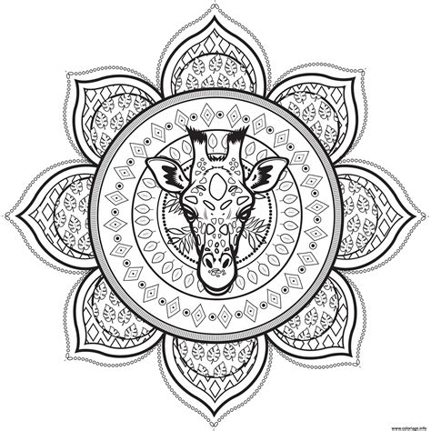 coloriage mandala complexe giraffe pour adulte dessin adulte à imprimer