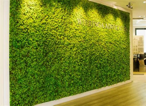 Green Walls Pictures And Screens Office Landscapes