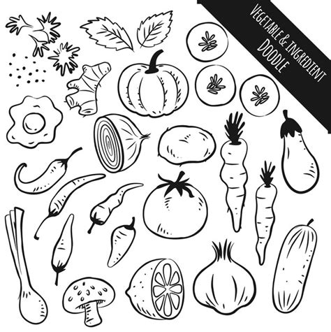 Premium Vector Set Of Vegetable And Ingredient Doodle