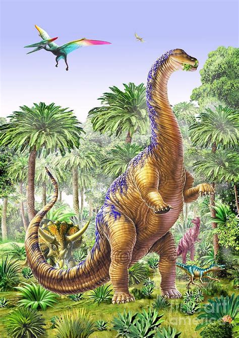 Brachiosaur By Mgl Meiklejohn Graphics Licensing In 2020 Dinosaur Art Dinosaur Photo