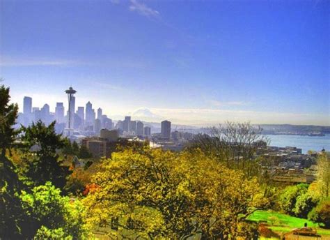 Seattle Building Massive Edible Forest Filled With Free Food