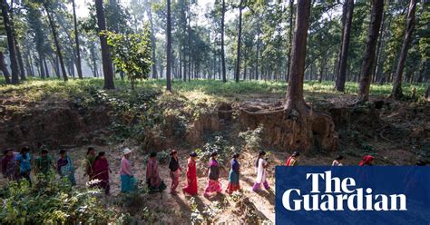nepal s women of the terai arc become forest conservationists in pictures global development