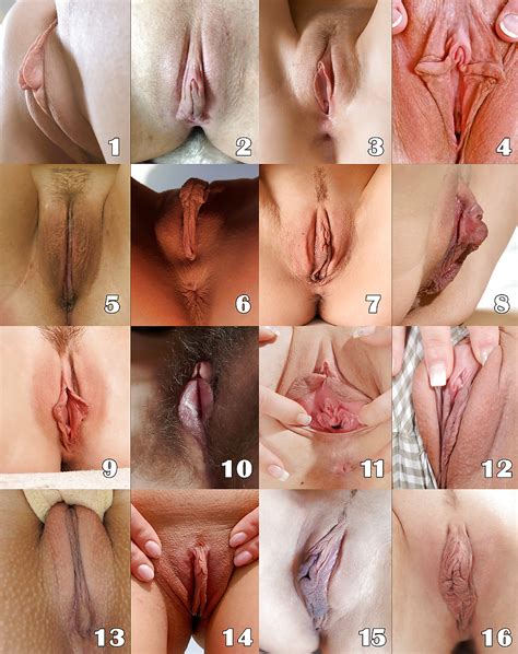 Choose Your Favorite Pussy Comment 7 Pics Xhamster