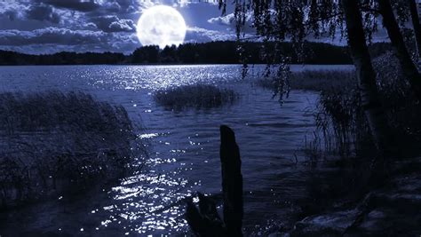 Night Full Moon Landscape Stock Footage Video 4402853 Shutterstock