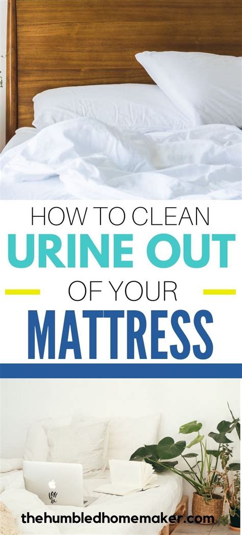 The soft pillow layer that sits on the surface of this mattress is very absorbent, so tackling the stain as soon as. The Best Way to Clean Pee Out of a Mattress in 2020 ...