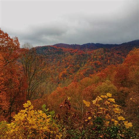 Gorgeous Fall Colors Of The Smokies Mountain Destinations Best Views